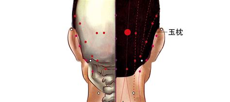 玉枕穴功效